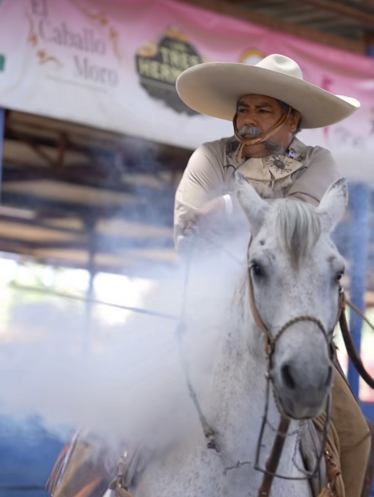 Horse lasso Charrería action video